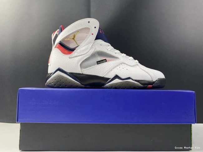 Jordan PSG 7 CZ0789-105 Air 0529